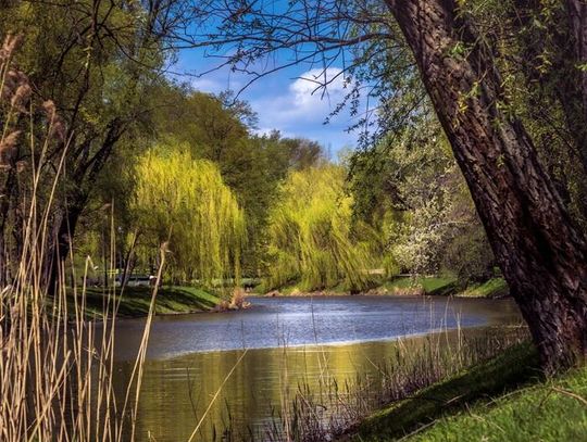Rodzinny piknik pełen atrakcji w parku Kępa Potocka