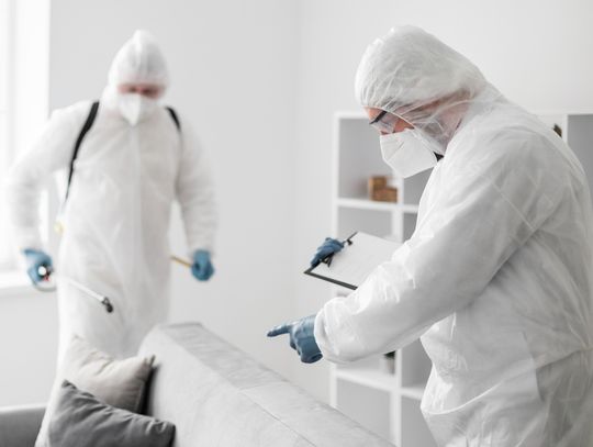 Skuteczna dezynsekcja na Woli w Warszawie - jak pozbyć się niechcianych insektów?