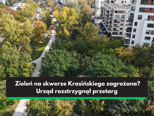Urząd chce przerobić dziki zagajnik na park rekreacji