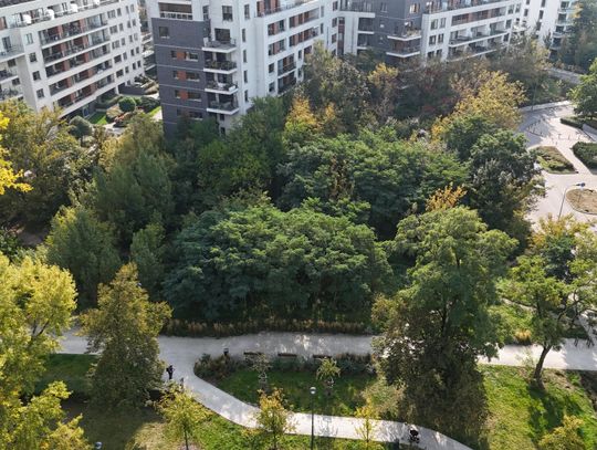 Urząd chce przerobić dziki zagajnik na park rekreacji