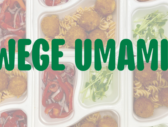 Wege Umami: Rozmowa z założycielką o cateringu roślinnym i ideach zdrowego życia