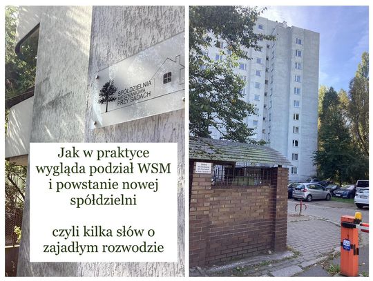 WSM a Spółdzielnia Przy Sadach. Co dalej z podziałem majątku?