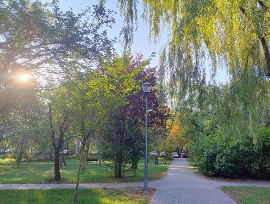 Wymiana latarni w żoliborskich parkach