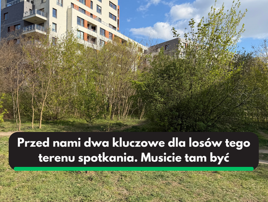 Zielona działka przy Przasnyskiej. Mieszkańcy znowu muszą walczyć o zieleń