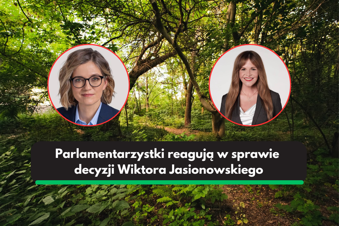 Biejat i Olko interweniują ws. Ptasiego Zakątka Biejat i Olko interweniują ws. Ptasiego Zakątka