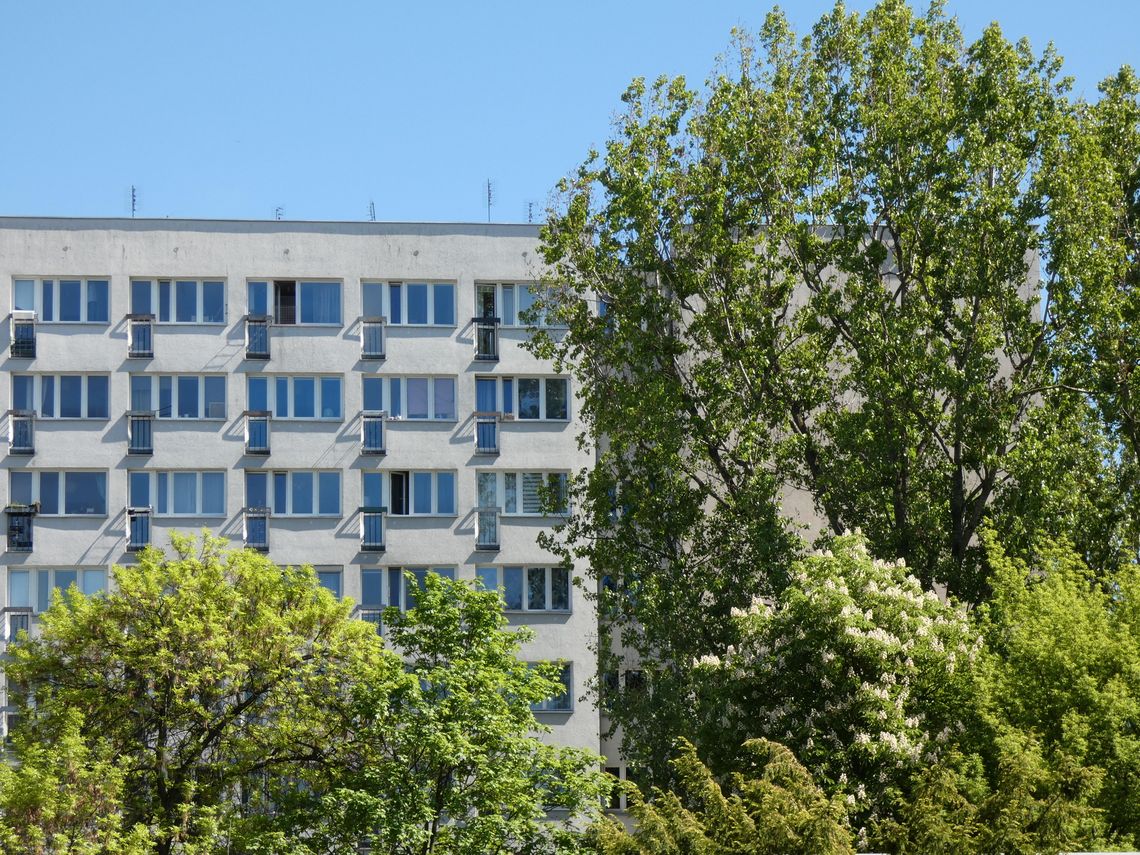 Były poseł dyrektorem w WSM Były poseł dyrektorem w WSM