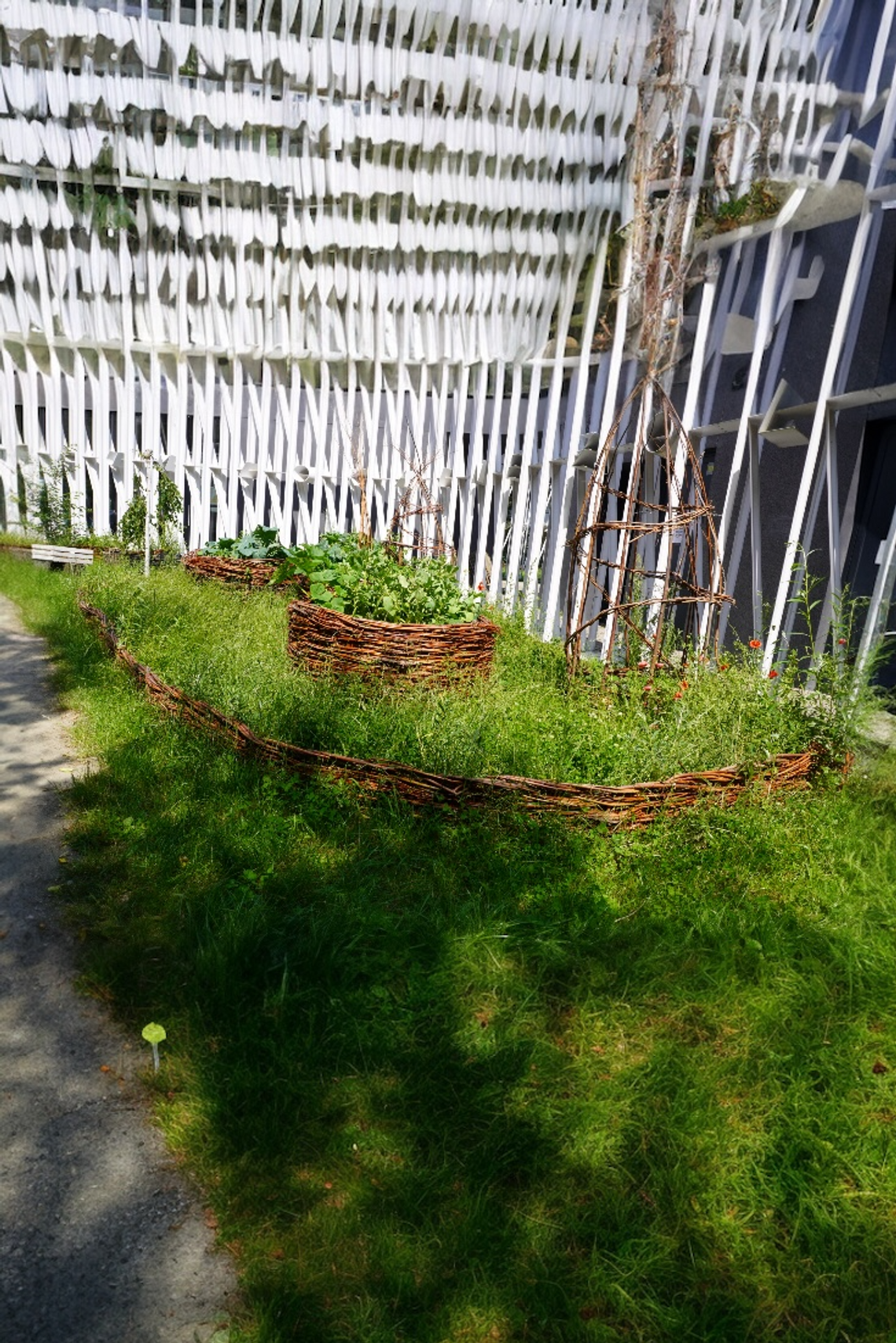 Centrum Lokalne Żoliborz zwycięzcą konkursu „Warszawa w kwiatach”