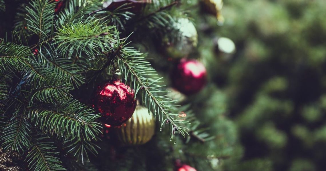 Co zrobić z choinką po świętach?