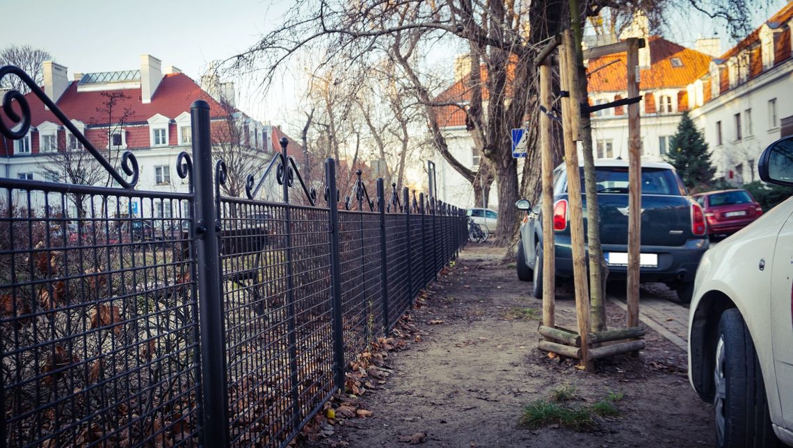 Drzewa i parkowanie na ulicy Wyspiańskiego. Jak pogodzić te dwie rzeczy?