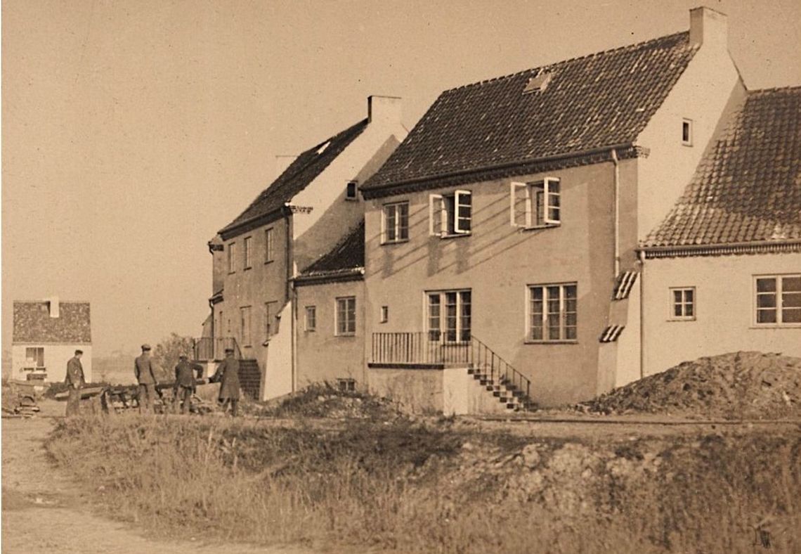 Historia placu z zegarem słonecznym, którego gnomon jest drzewem