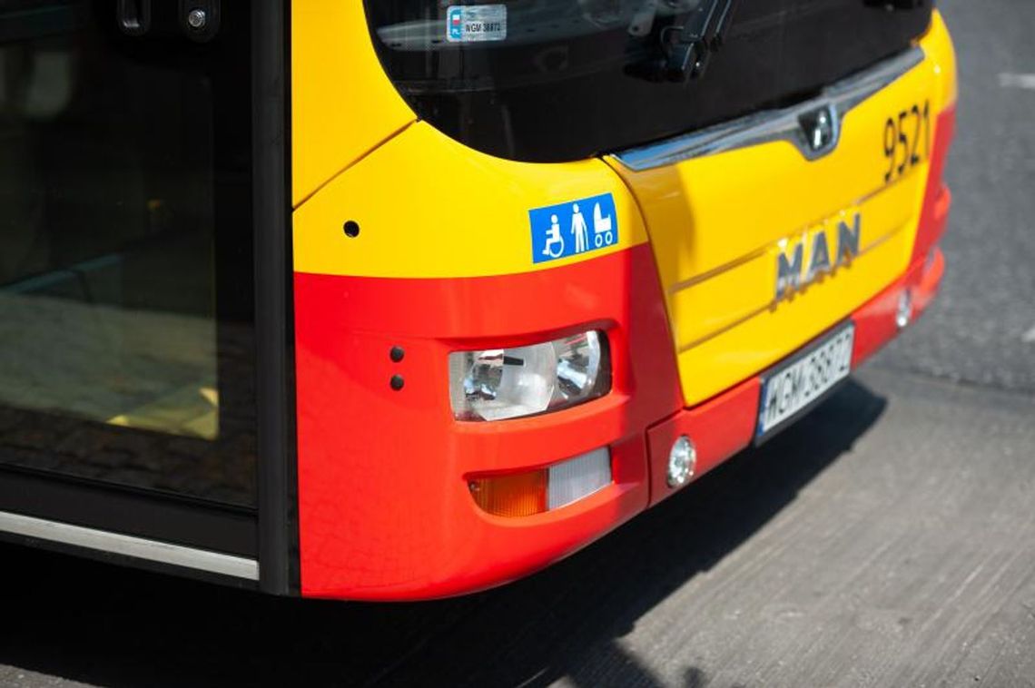 Jadą stadami, potem długo nic... Jadą stadami, potem długo nic...