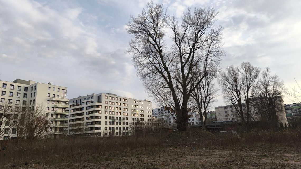 Jakie stanowisko zajęli radni wobec inwestycji przy Powązkowskiej 44A?