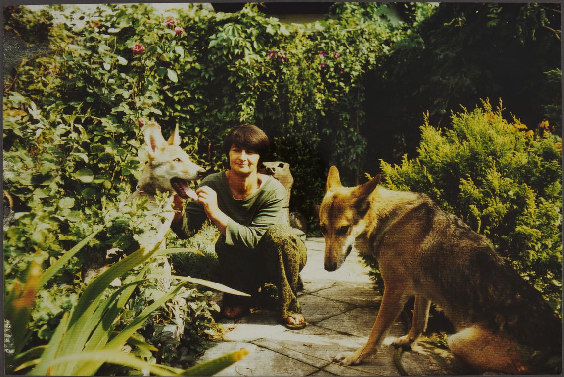 Miasto Zwierząt. Niezwykły świat Domicelli Bożekowskiej w Łazienkach Miasto Zwierząt. Niezwykły świat Domicelli Bożekowskiej w Łazienkach