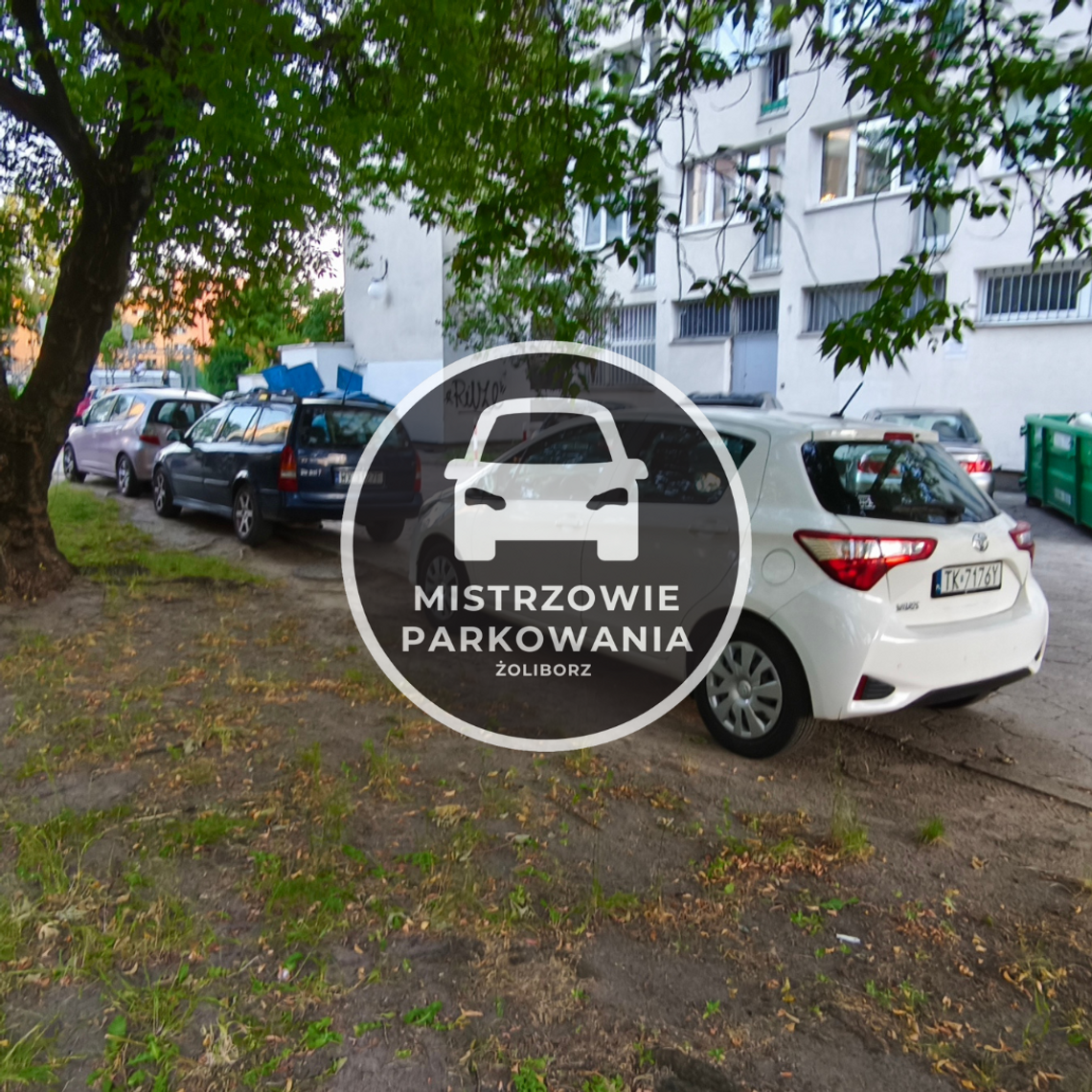 Misrzowie parkowania #87