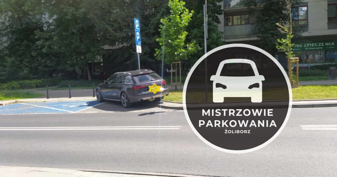 Mistrzowie parkowania #10