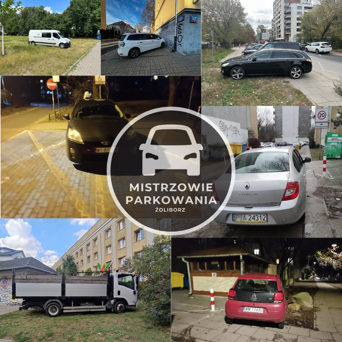 Mistrzowie parkowania #100 - Złota kolekcja Mistrzowie parkowania #100 - Złota kolekcja