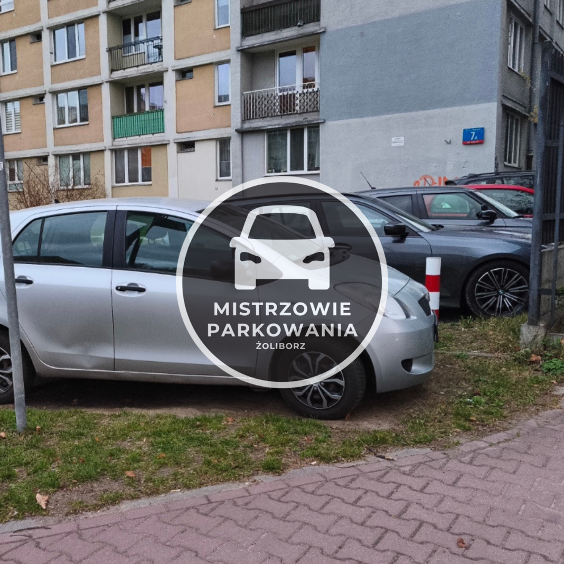 Mistrzowie parkowania #104 Mistrzowie parkowania #104