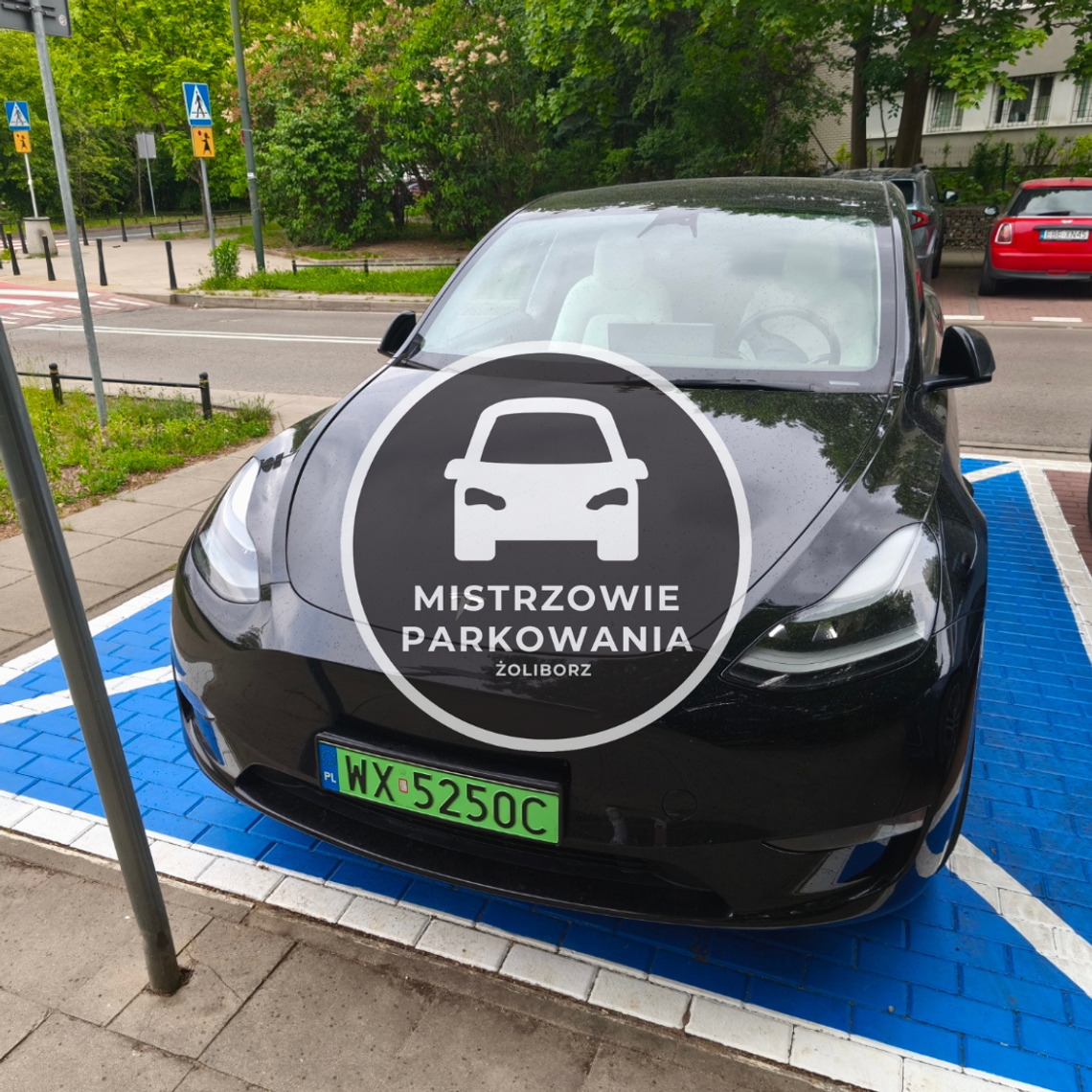 Mistrzowie parkowania #107 Mistrzowie parkowania #107