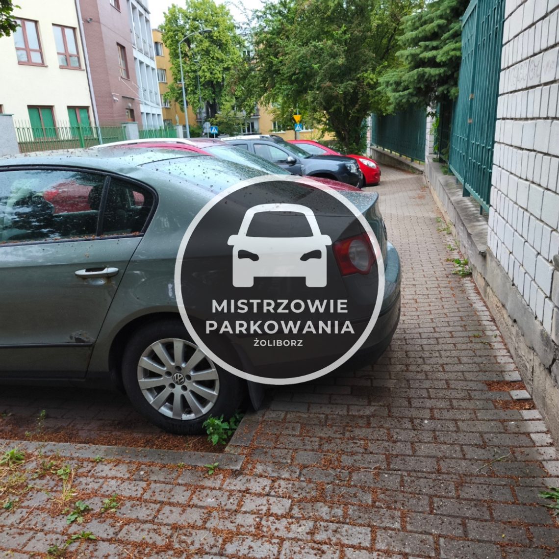 Mistrzowie parkowania #108