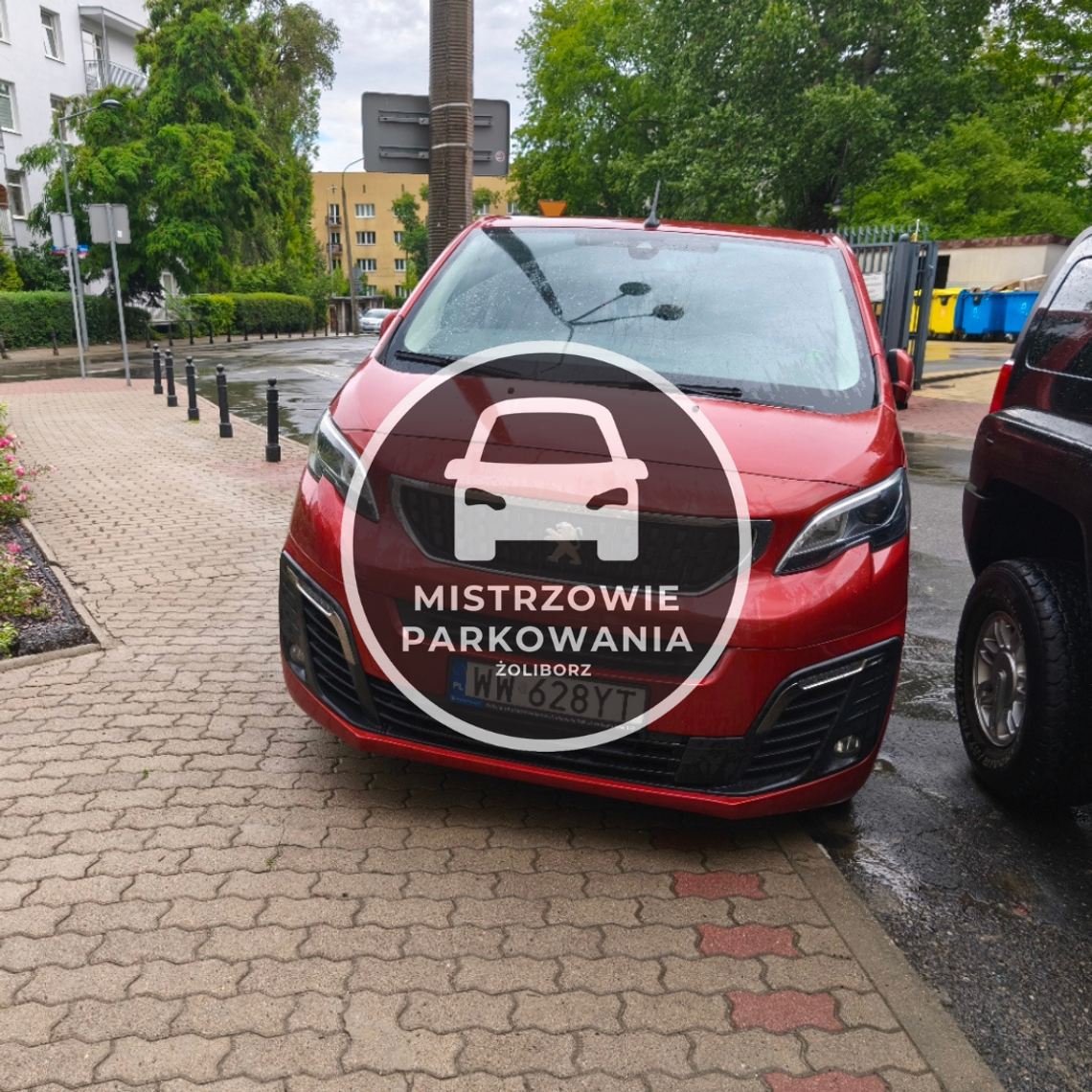 Mistrzowie parkowania #110 Mistrzowie parkowania #110