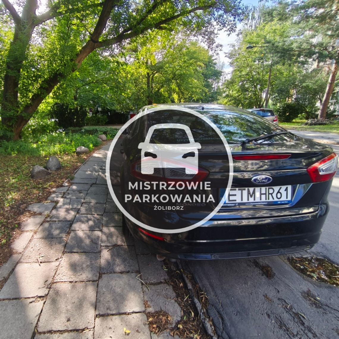 Mistrzowie parkowania #111