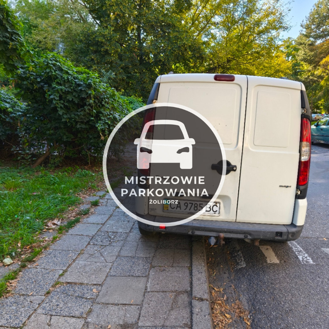 Mistrzowie parkowania #112