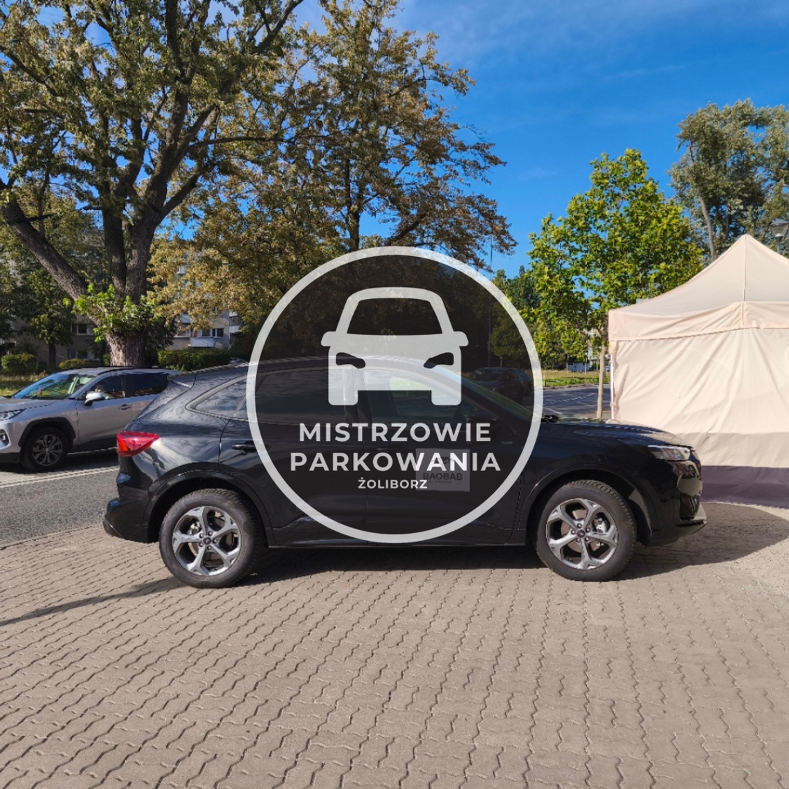 Mistrzowie parkowania #114 Mistrzowie parkowania #114