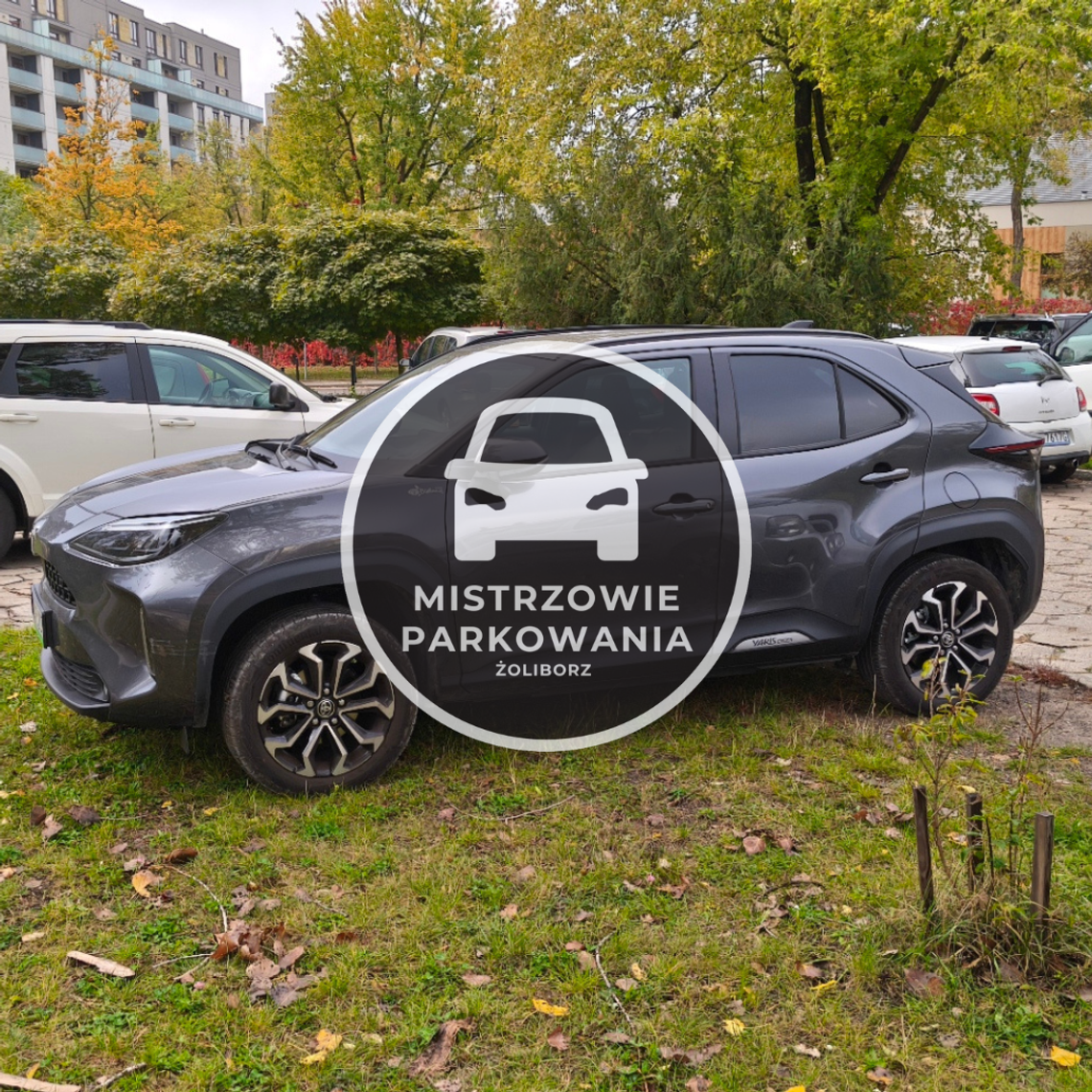 Mistrzowie parkowania #116