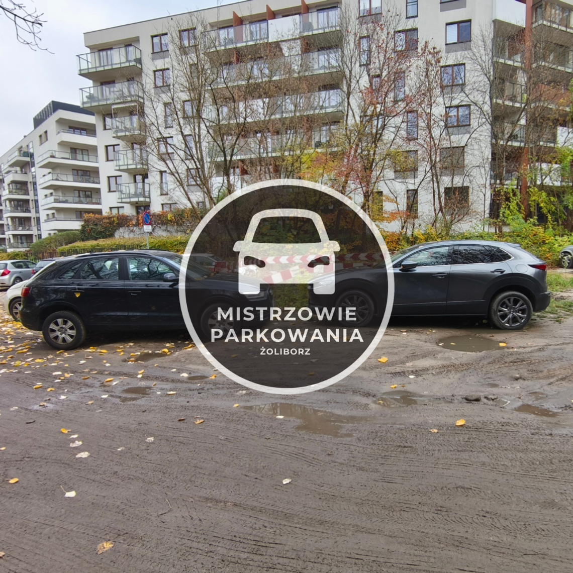 Mistrzowie parkowania #117 Mistrzowie parkowania #117