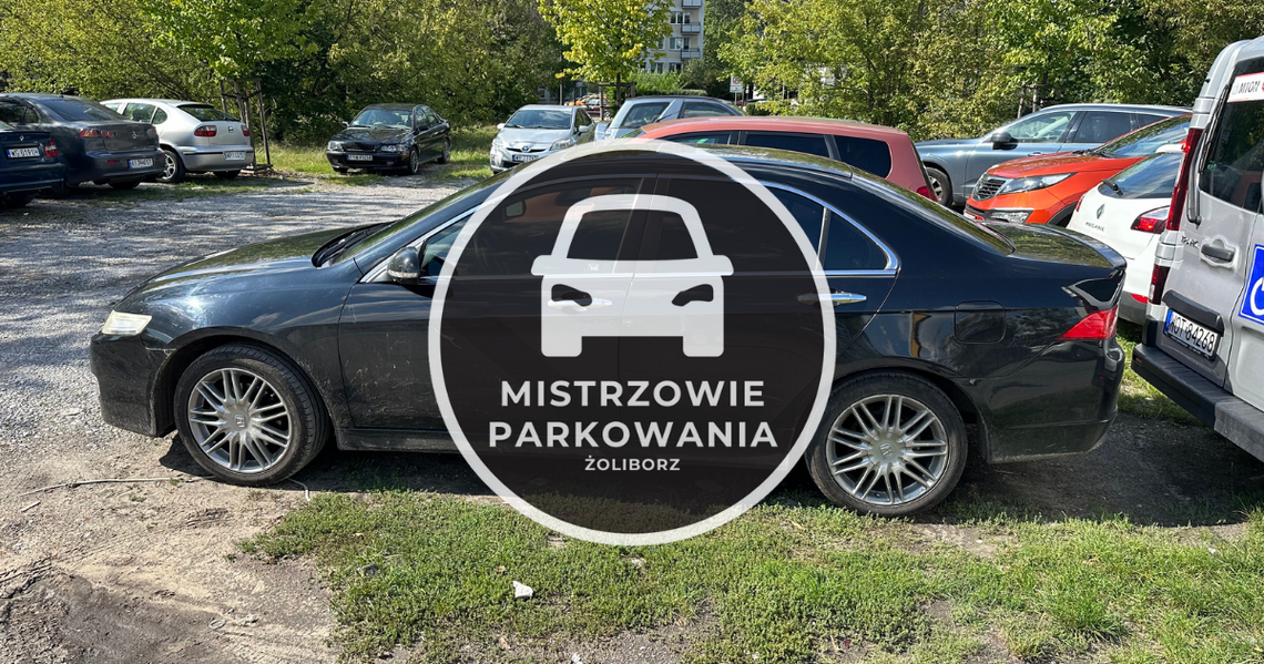 Mistrzowie parkowania #13