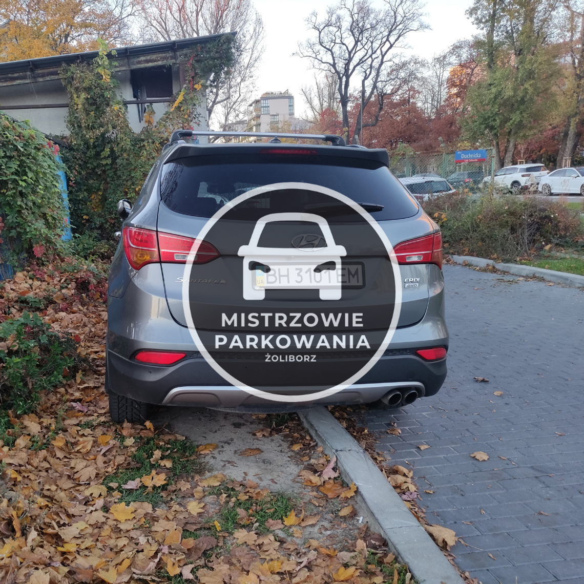 Mistrzowie parkowania #54