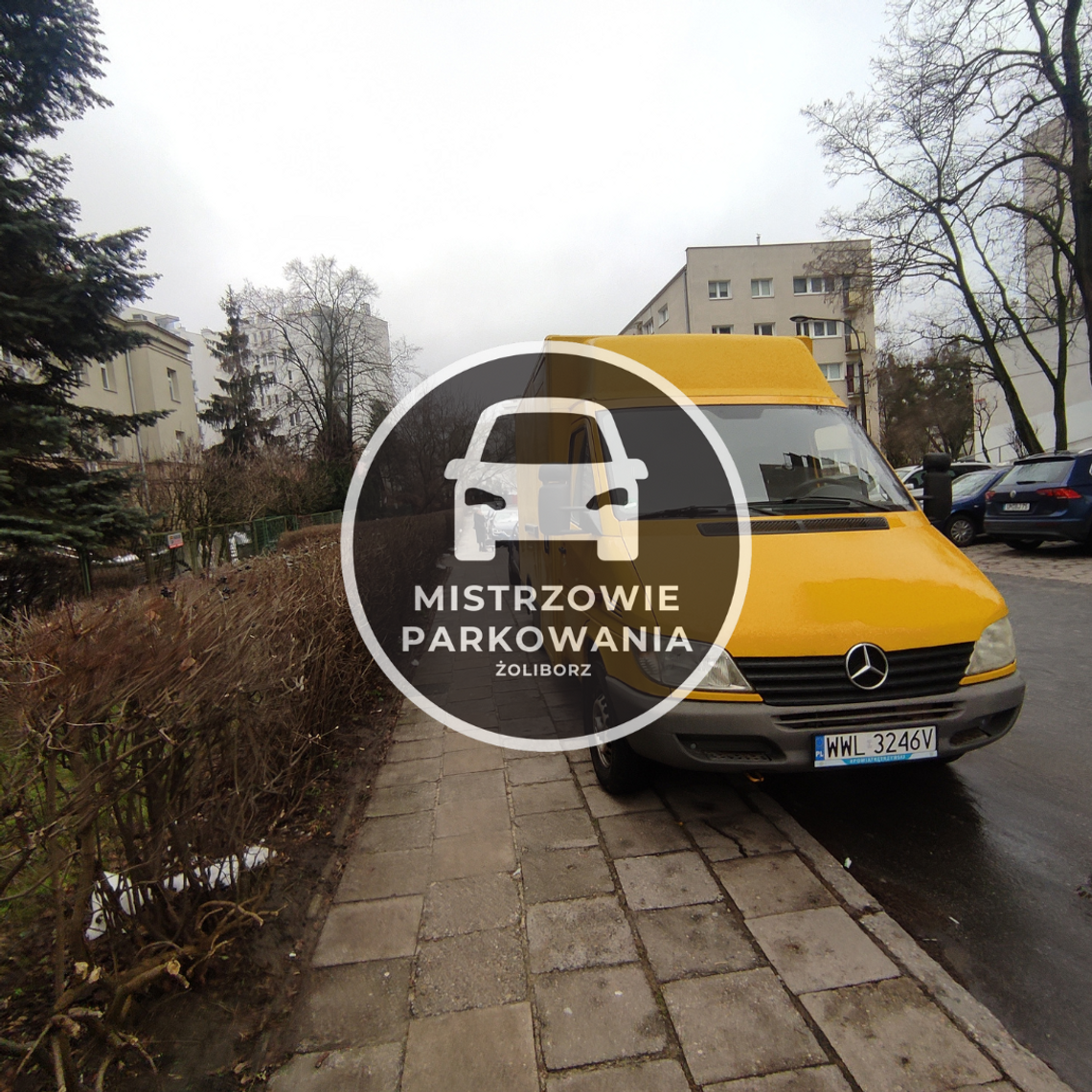 Mistrzowie parkowania #64