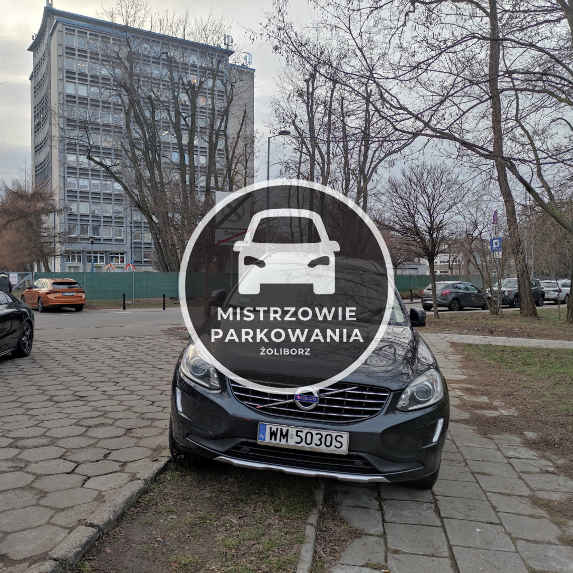 Mistrzowie parkowania #65