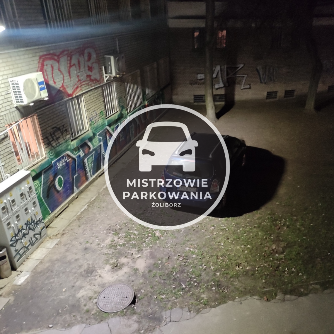 Mistrzowie parkowania #66