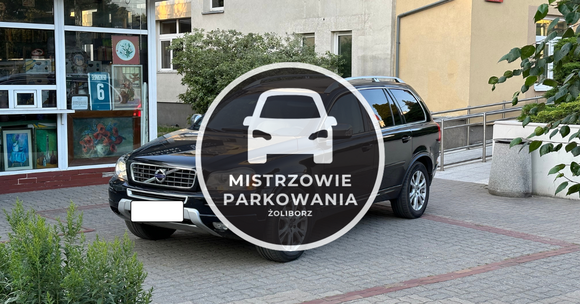 Mistrzowie parkowania #7