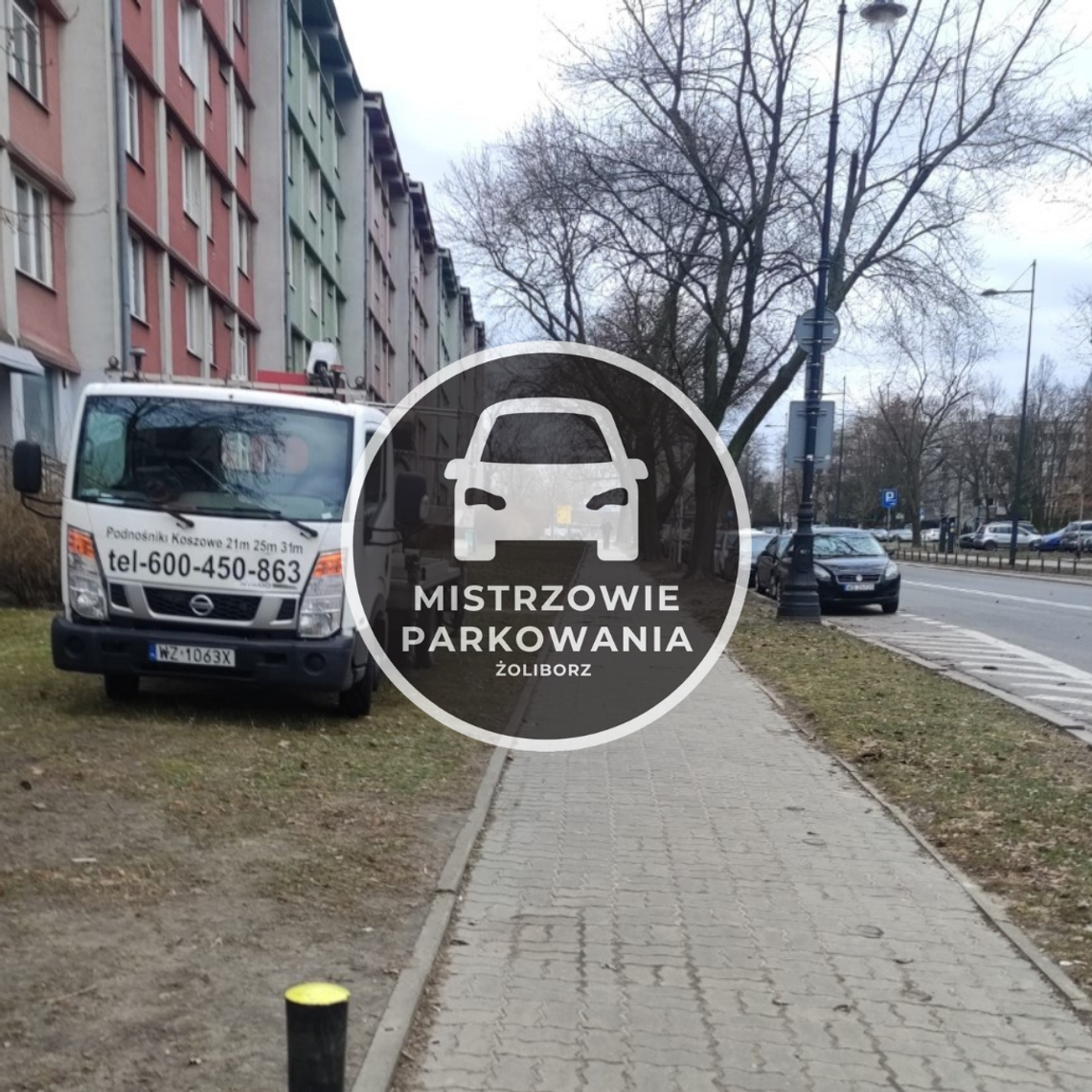 Mistrzowie parkowania #71