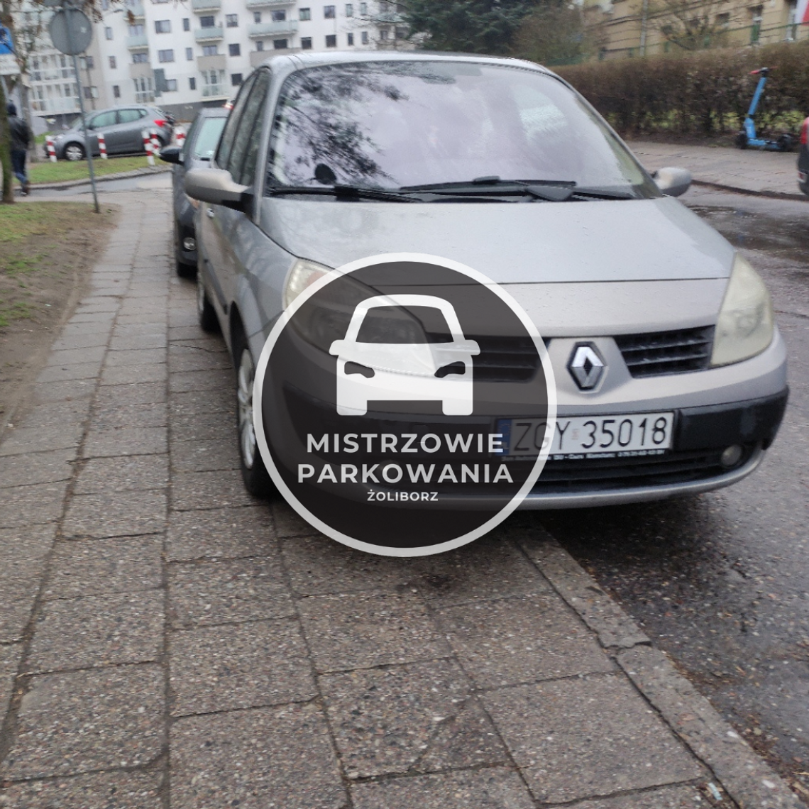 Mistrzowie parkowania #72