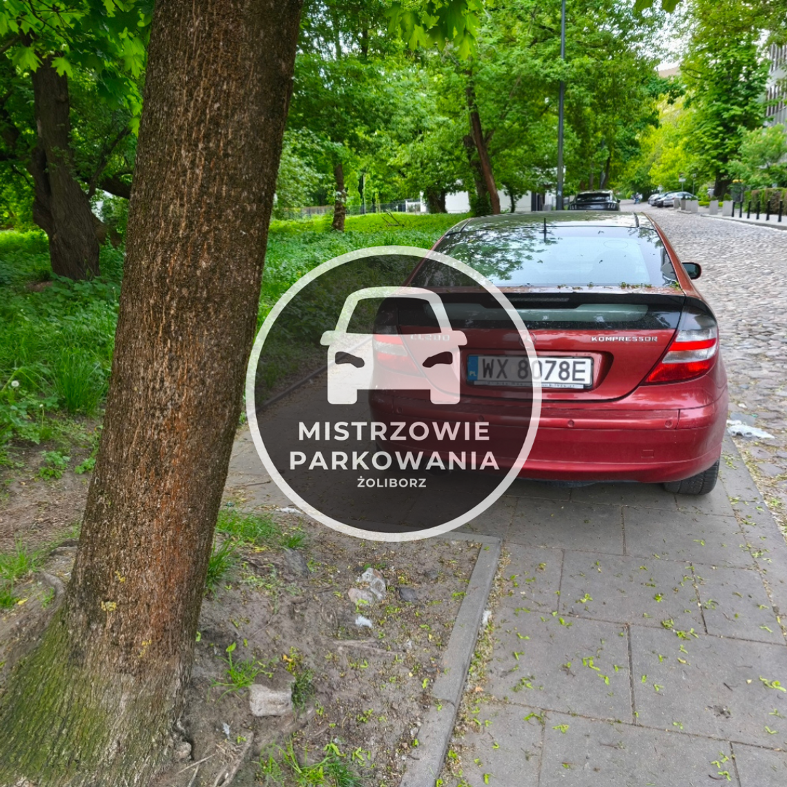 Mistrzowie parkowania #79