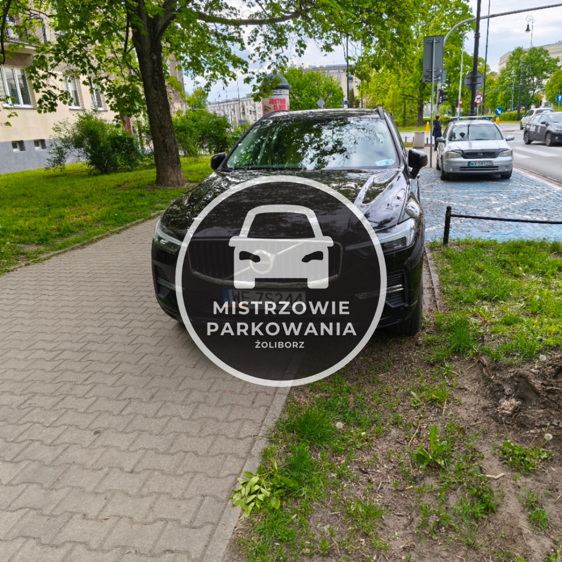 Mistrzowie parkowania #81