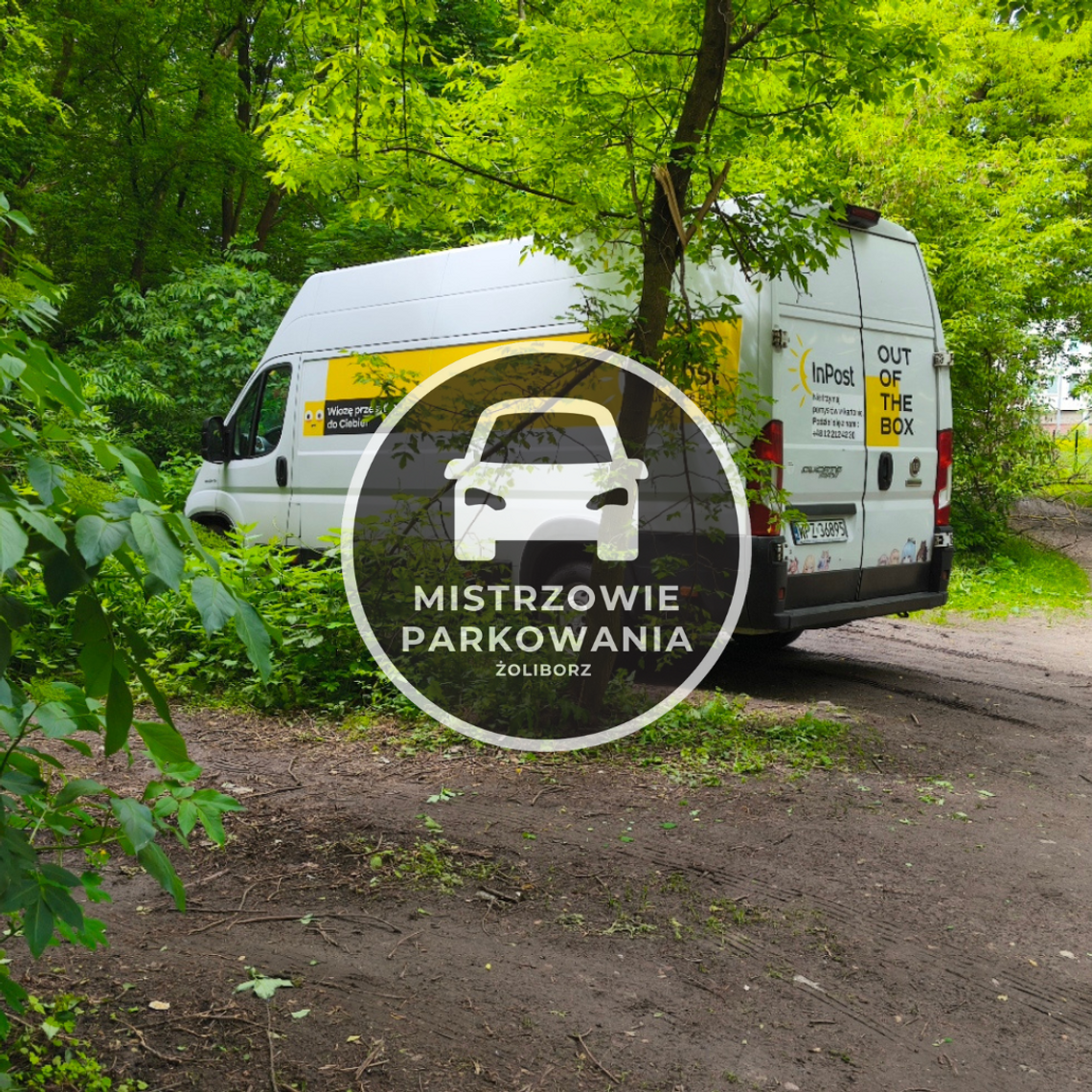 Mistrzowie parkowania #82