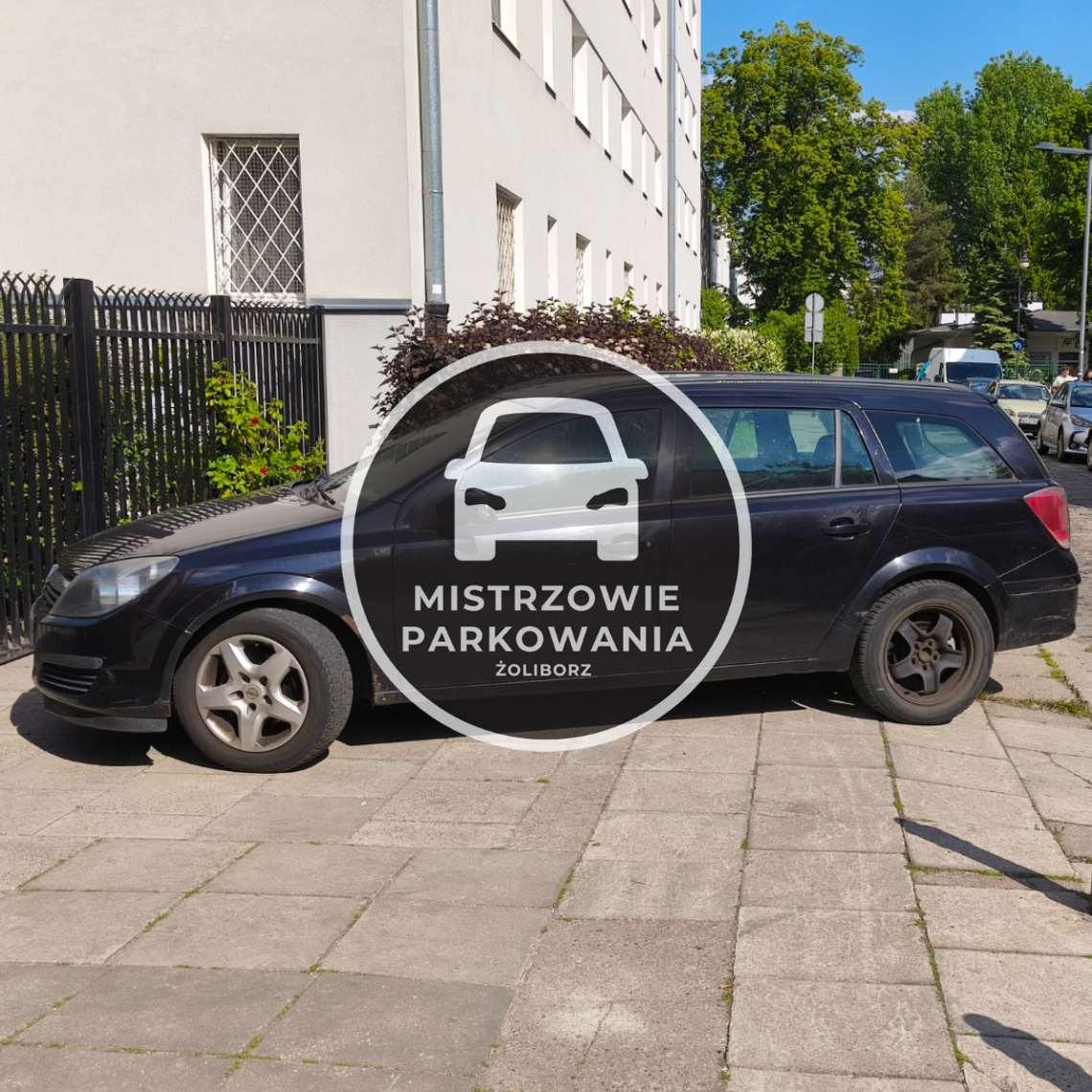 Mistrzowie parkowania #83