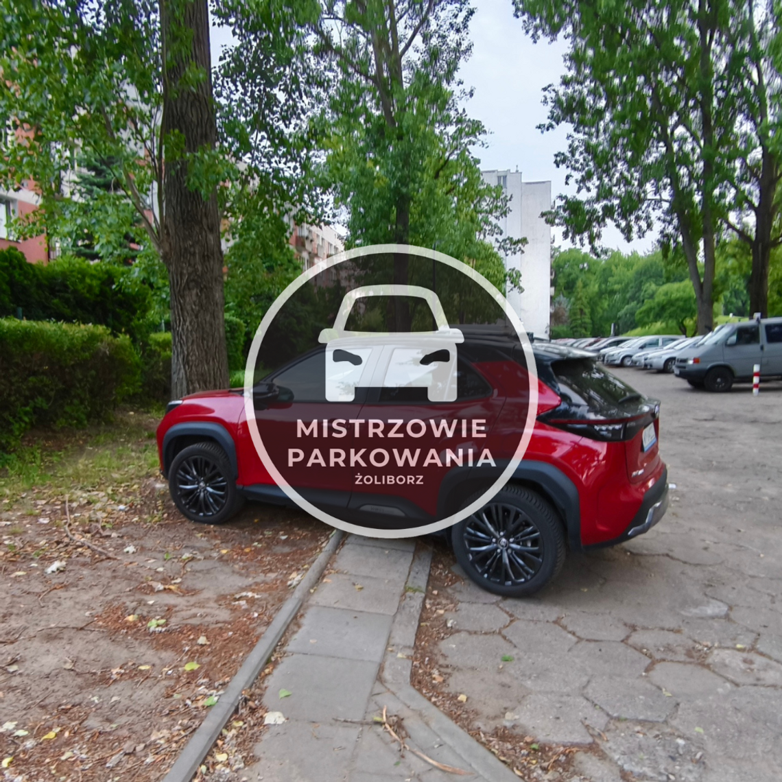 Mistrzowie parkowania #86