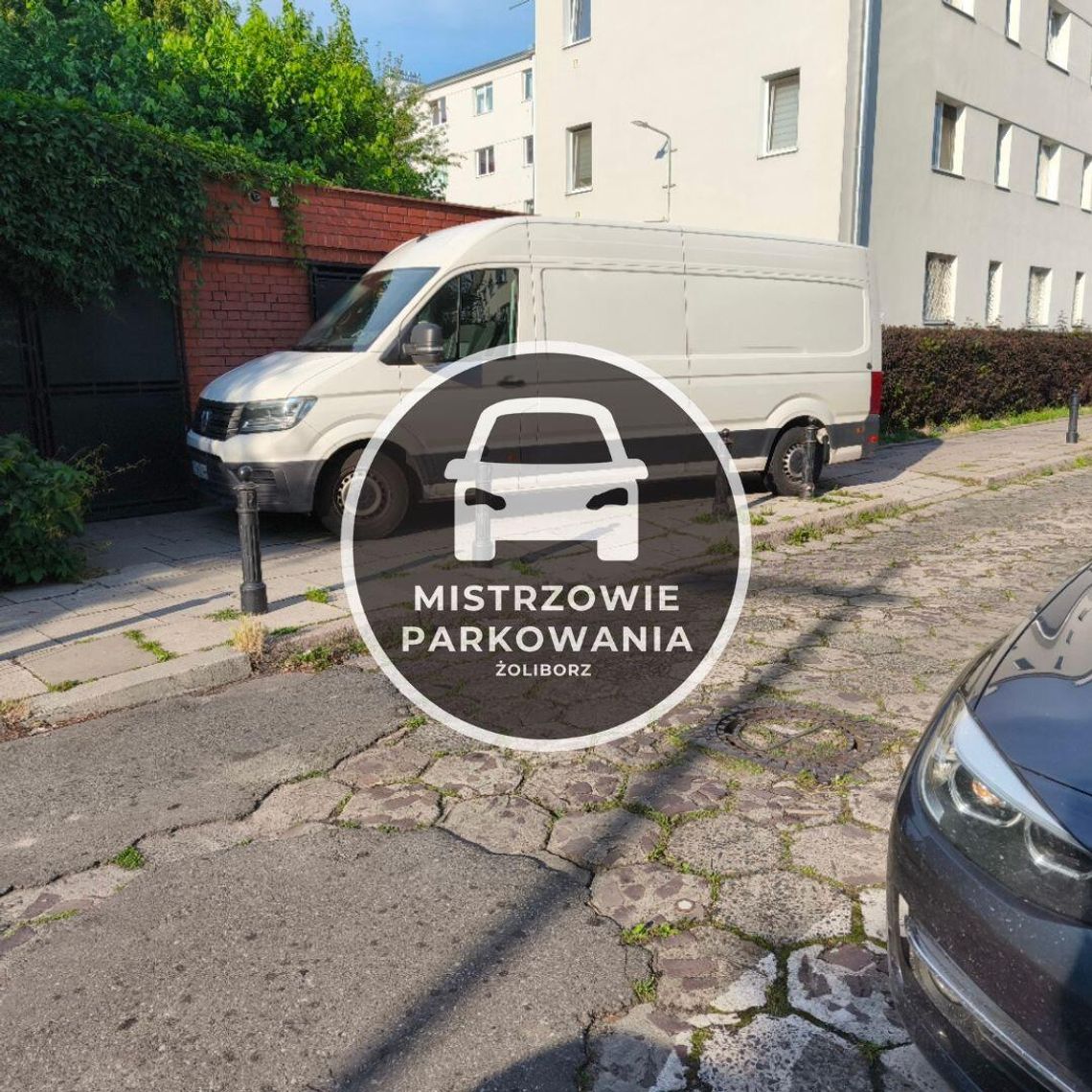 Mistrzowie parkowania #89
