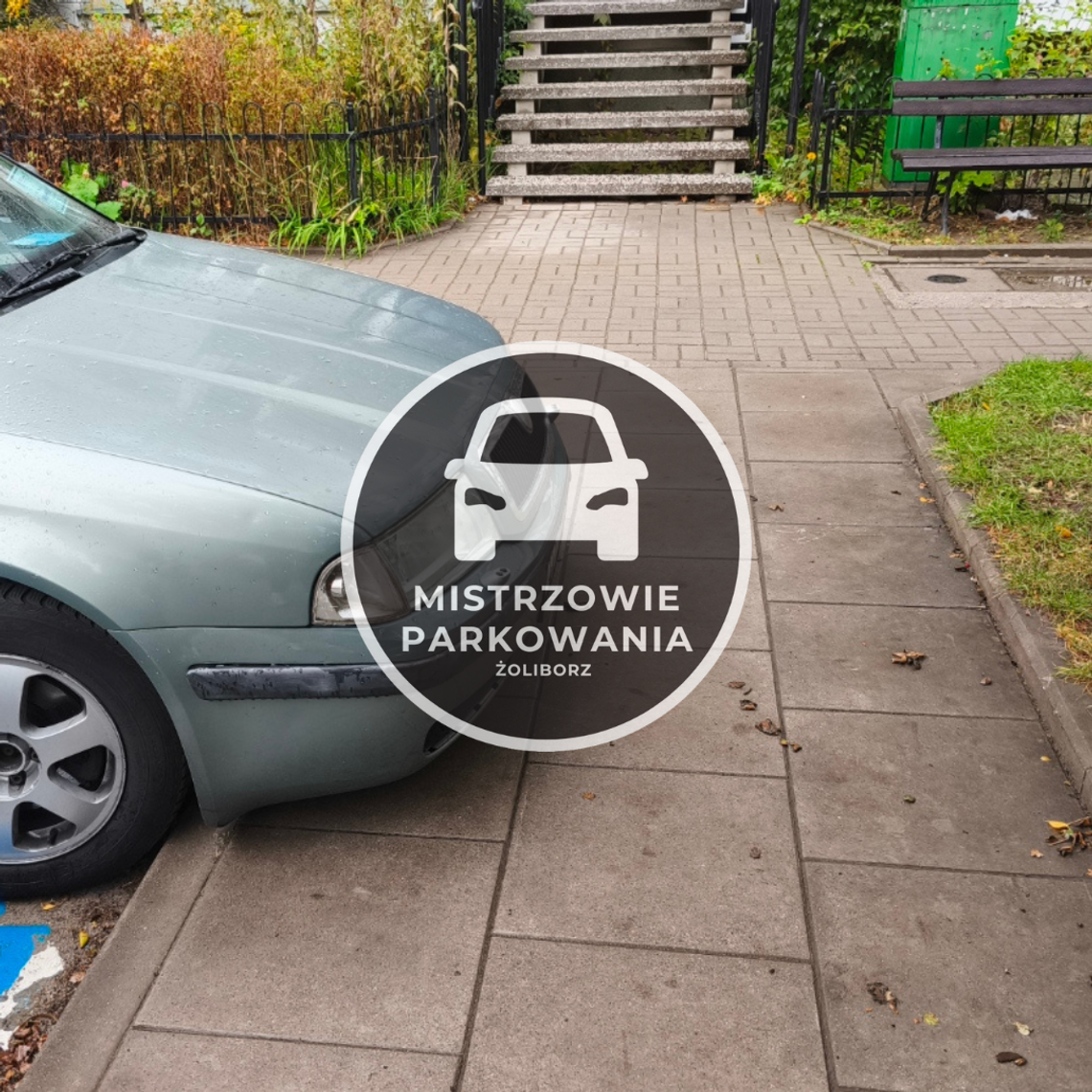 Mistrzowie parkowania #92