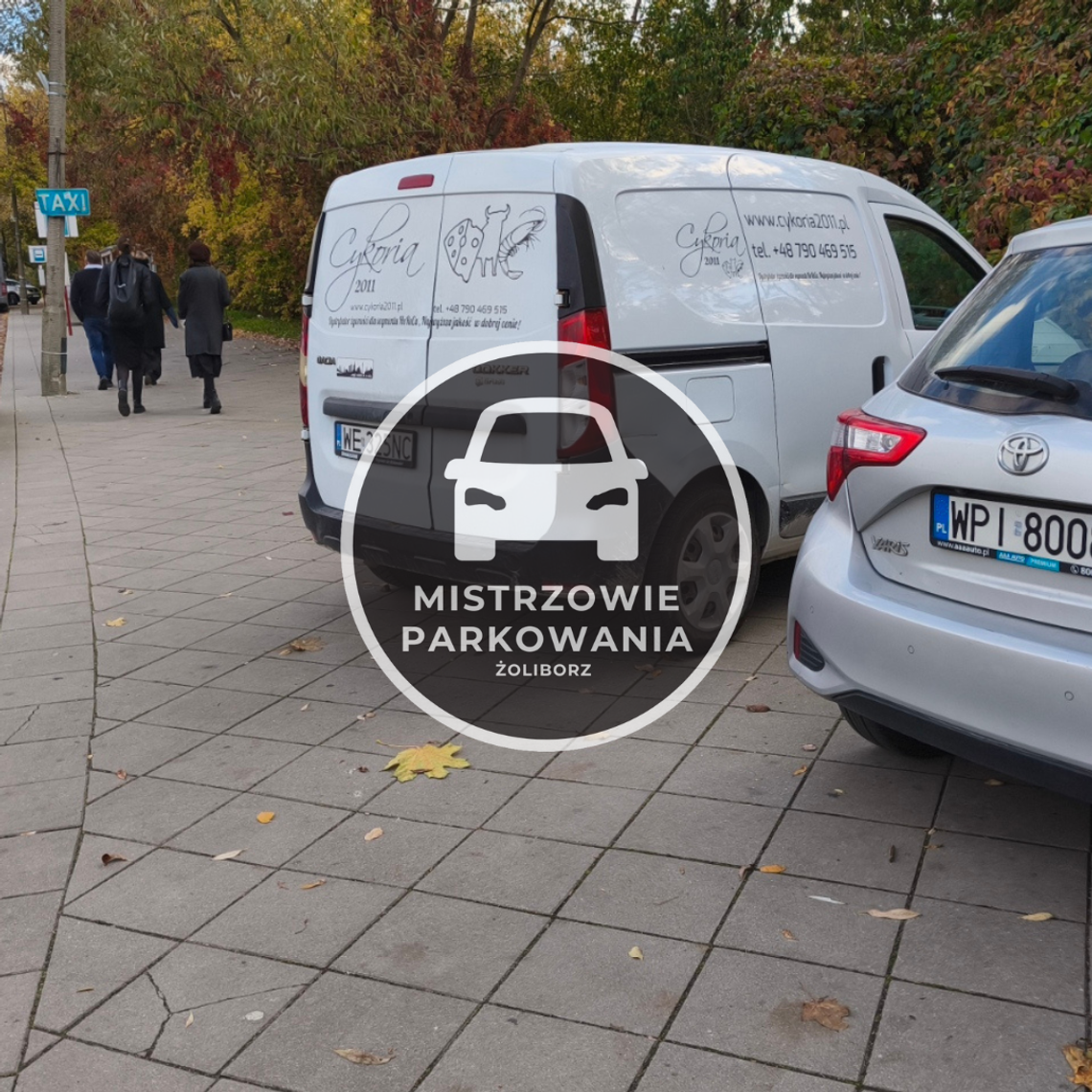 Mistrzowie parkowania #93 Mistrzowie parkowania #93