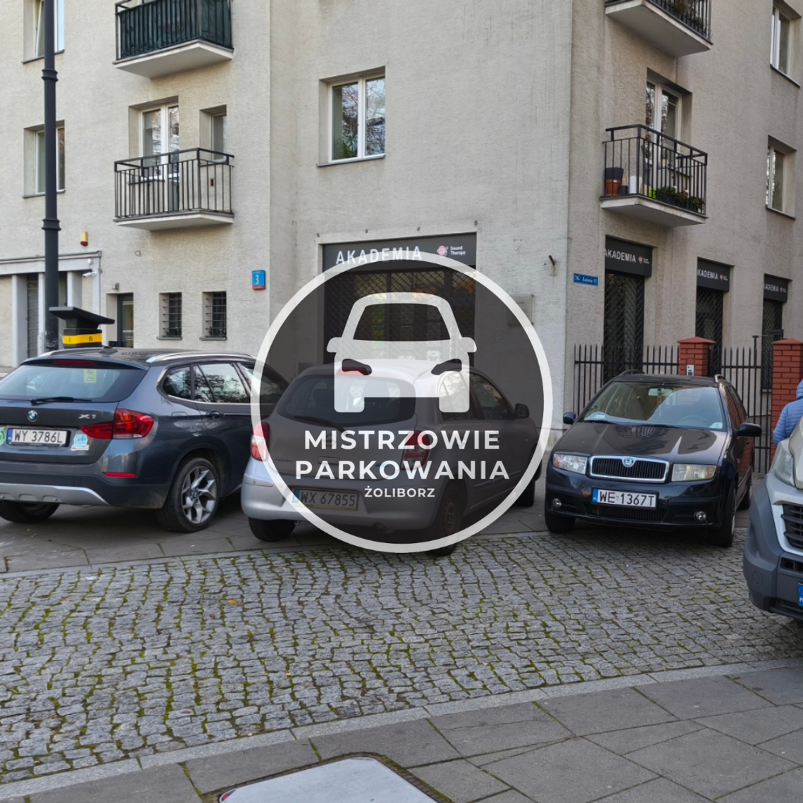 Mistrzowie parkowania #94