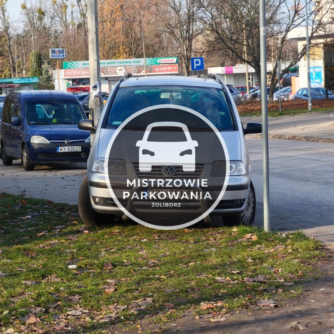 Mistrzowie parkowania #95