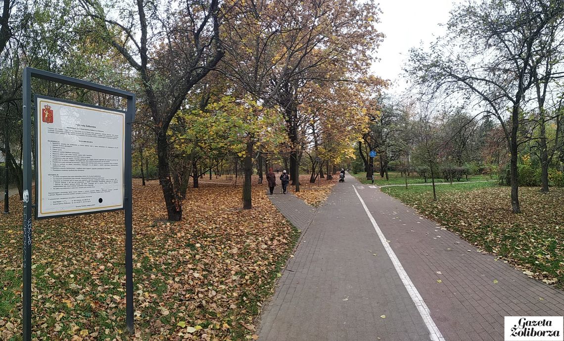 Nowe drzewa owocowe w parku Sady Żoliborskie?