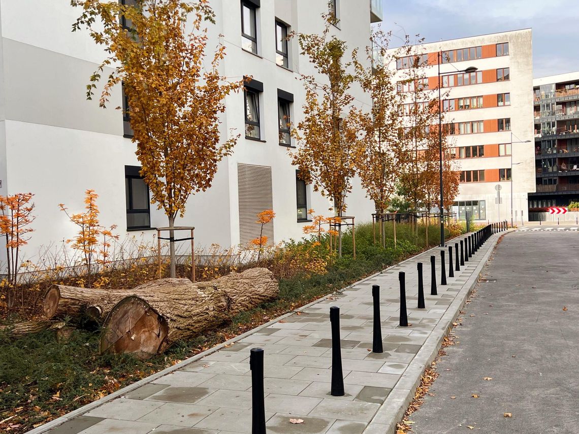 Nowe ulice i woonerf na Żoliborzu Nowe ulice i woonerf na Żoliborzu