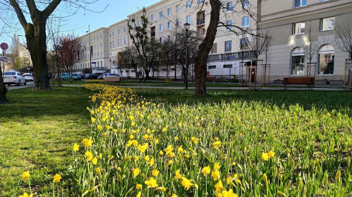 Ostatnie dni głosowania w budżecie obywatelskim